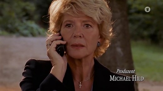 Utta Danella: Utta Danella – Das Familiengeheimnis (1)