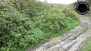 On ITV News tonight, the story that the Director of the Masters of Foxhounds Association, Mark Hankinson, has been charged under Section 44 of the Serious Crimes Act 2007. 👇 | Hunt Saboteurs Association