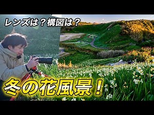 【カメラ初心者さん】花写真の撮り方を解説！