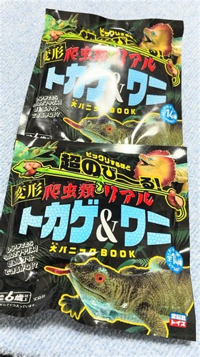 トカゲ＆ワニクリアボディモロクトカゲねらい！#宝島社 #とかげ #ワニ