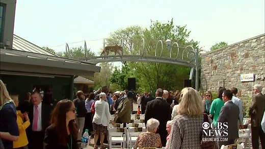Philadelphia Zoo's "Big Cat Crossing"