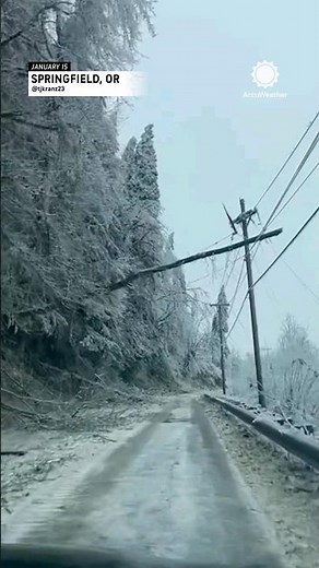 'Like a War Zone': Heavy Ice Storm Ravages Oregon Neighborhood