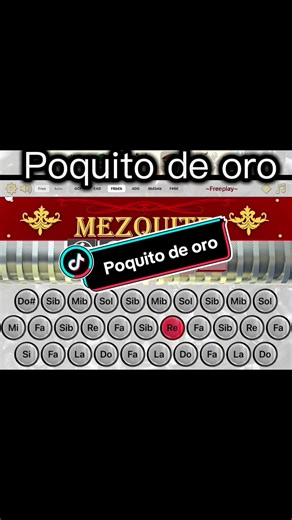 Aprendiendo a Tocar el Acordeón: Progreso y Consejos
