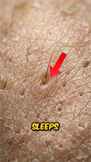 Your Skin Never Sleeps! 😱