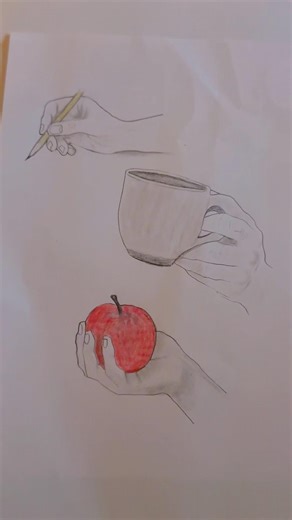 Pencil Drawing Practice: Hands Holding Objects #plz_subscribe_my_channel #shortsfeed