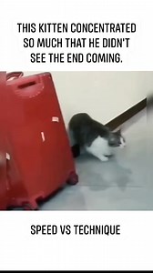 195K views · 1.5K reactions | Speed vs technique . . . . . Remember...