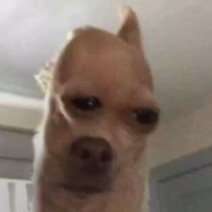 dantdmonstrz - Twitch