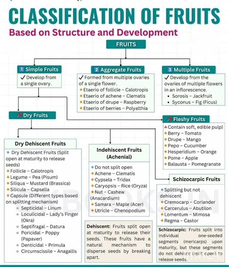 Classification of Fruits -#neet2025 #biology #nursing #ncertbiology #education #pharmcology