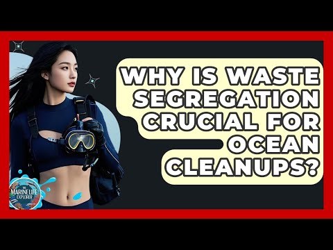 Why Is Waste Segregation Crucial For Ocean Cleanups? - The Marine Life Explorer