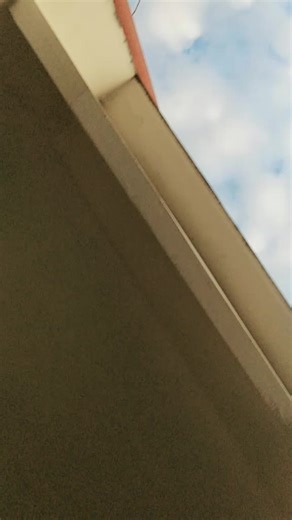 Bijani Tripura on TikTok