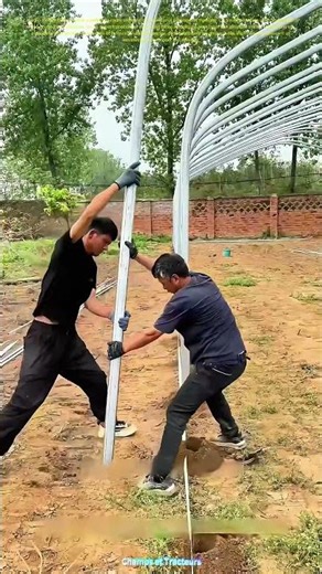 “L'installation du cadre : Comment deux ouvriers construisent la structure d'un enclos à moutons”