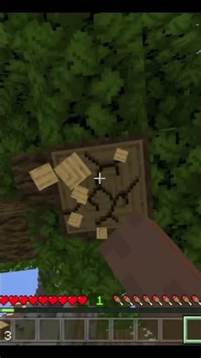 Minecraft Copy Block Crazy