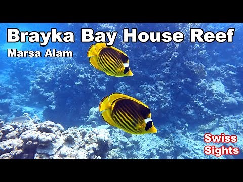 Brayka Bay House Reef Marsa Alam Egypt 4K