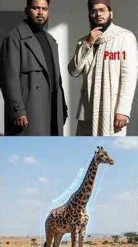 Allah ki shandar makhluk 🦒🦒