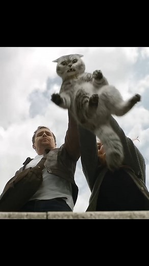 15K views · 43 reactions | Watch and Smile Away #connecttv #trendingnow #MustWatch #movienight | Connect TV | Facebook