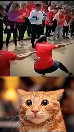 #funny #memes #mrbombastic #shorts