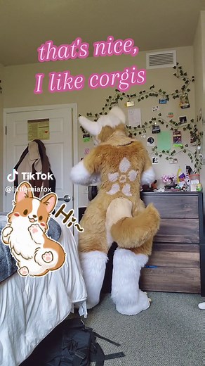 littlemiafox on TikTok