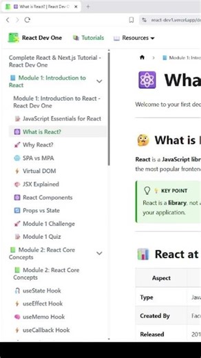 React tutorial website #website #webdevelopment #programming #nextjs #react #education