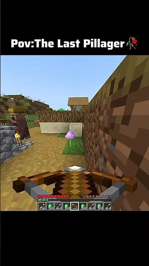 the last pillager in raid