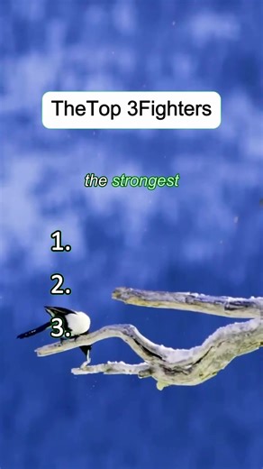 user90432548771632 (@user90432548771632)’s videos with original sound - user90432548771632