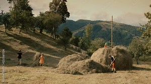 Boys and girls gather the dried hay and build a haystack