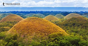 Giants and Blood Oaths: Delving into Bohol’s History