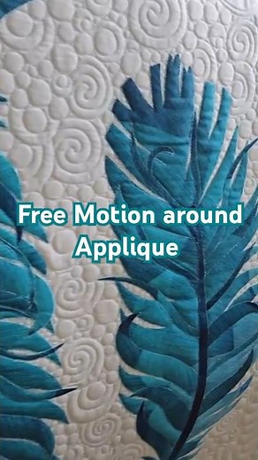 Free Motion Quilting Around Applique 🦜