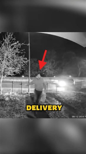 Delivery Driver vs Tiny Dog Gone Wrong!? #unexpected #caught #dogdrama
