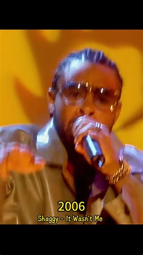 Shaggy - It Wasn't Me (official search query)
