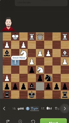 puzzle type : ans Knight sac