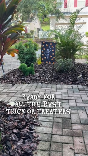 1.4K views · 11 reactions | Happy Halloween  #timecapsuledesign #slightlysubtle | Time Capsule Design | Facebook