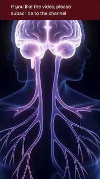 WHY DO WE GET GOOSEBUMPS?