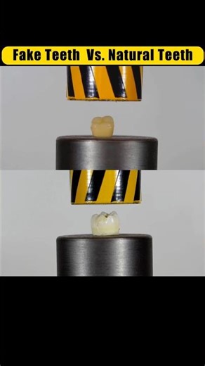 Natural Teeth vs. Fake Teeth Which is Actuall Stronger #hydraulicpress