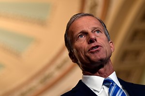 What does a whip do in the US Senate?