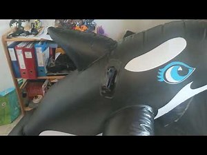 inflatable vintage whale