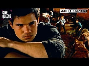 Cullens vs. Wolves Showdown | Twilight: Breaking Dawn Part 1 4K Ultra HD