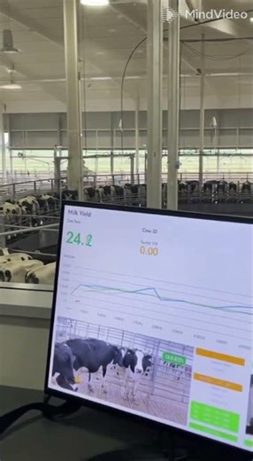 The Most Satisfying Automatic Milking Process Ever Filmed 2