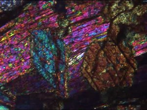 Amphiboles en inclusion dans une amphibole au microscope polarisant (LPA)