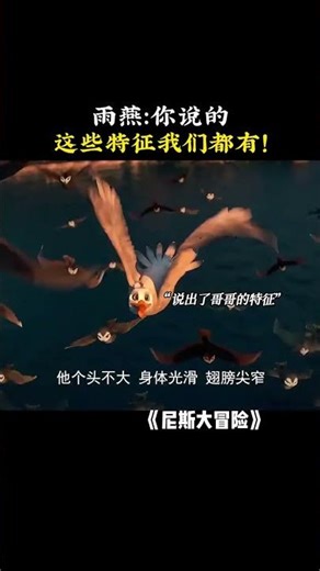 雨燕：你说的这些特征我们都有！ #尼斯大冒险 #电影尼斯大冒险
