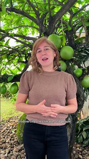 Conserving the Pantanal and Gran Chaco | Natalia Araujo