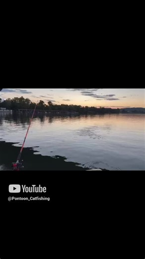 Pontoon_Catfishing (@pontoon_catfishing)’s videos with original sound - Pontoon_Catfishing