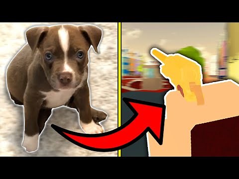 A Puppy Plays ROBLOX Arsenal...