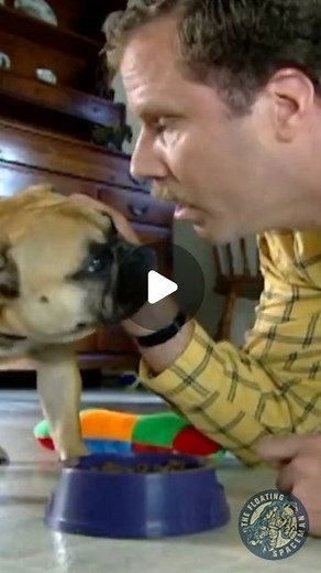 The Floating Space Man ©️ | Dissing your dog... Training your dog with verbal humiliation and mockery. To this day, this is still one of my favorite SNL commercial... | Instagram