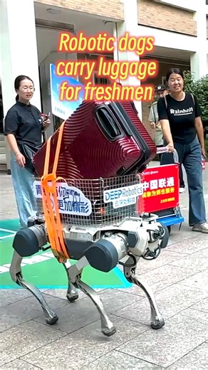 Robot volunteers are making the new semester a breeze! At Zhejiang University, both four-legged and wheeled robotic helpers are assisting by carrying freshmen's luggage directly to their dorms. | China Xinhua Sci-Tech