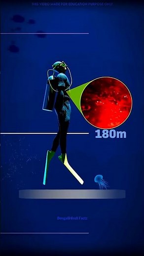 Inside Earth's Deepest Ocean Hole 😨