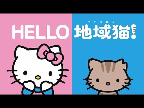 AC JAPAN 日本動物愛護協会 CM 「HELLO 地域猫！」篇 15秒