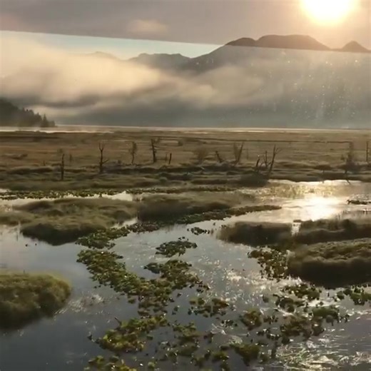 Take a ride on the Alaska Railroad. And "if" you pass go collect $200. | The Alaska Life