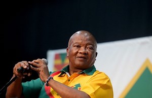 Holomisa: UDM in GNU to fulfil manifesto promises
