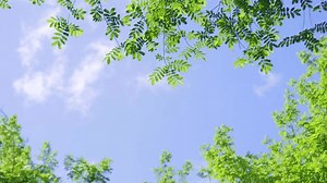 Summer Azure Sky Filled White Clouds Stock Footage Video (100% Royalty-free) 1104704299 | Shutterstock
