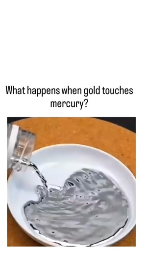 engifact on Instagram: "The X post by showcases a gold bar dissolving in mercury, amassing 3.8 million views and highlighting the rapid amalgamation process where the metal vanishes into a silvery alloy. This reaction forms a gold-mercury amalgam due to mercury's ability to wet gold's surface and disrupt its atomic lattice, as explained in chemistry resources; the gold can be recovered by heating to evaporate the mercury. Amalgamation has been a traditional gold extraction method since ancient t